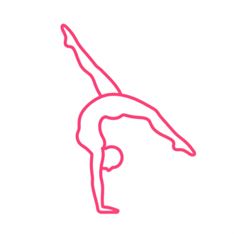 Clase de Acrobacia